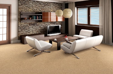 Mùa hè nên chọn thảm trải sàn sofa chất liệu gì?-2